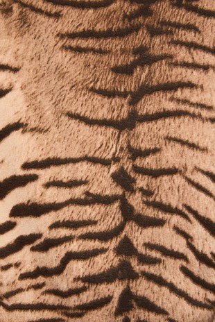 Tiger Print Lace Trim Shorts