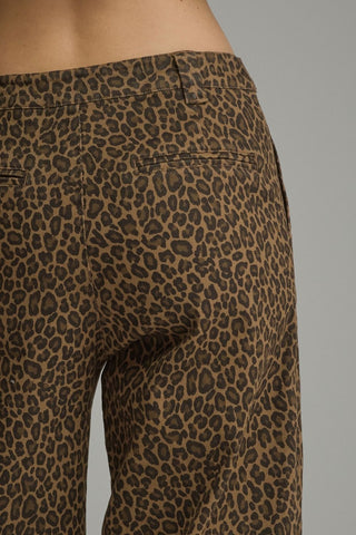 Brown Leopard Pants