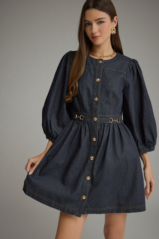 Denim Puff Sleeve Button Front Mini Dress