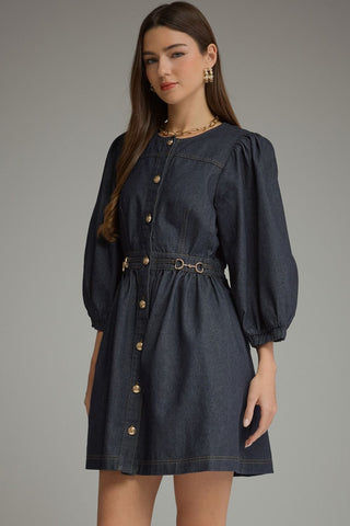 Denim Puff Sleeve Button Front Mini Dress