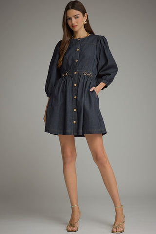 Denim Puff Sleeve Button Front Mini Dress