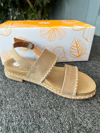 Yellow Box- Kassel/Taupe