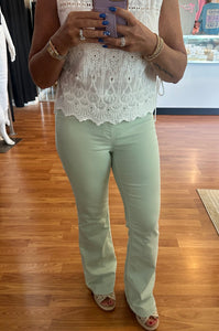 Cello Petite Pull On Flare 30” Inseam- Mint Green